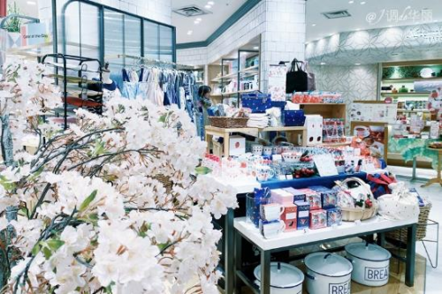 【日本】东京探店:各种美貌的樱花限定!