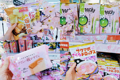 【日本】东京探店:各种美貌的樱花限定!