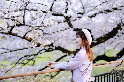 【日本】东京探店:各种美貌的樱花限定!