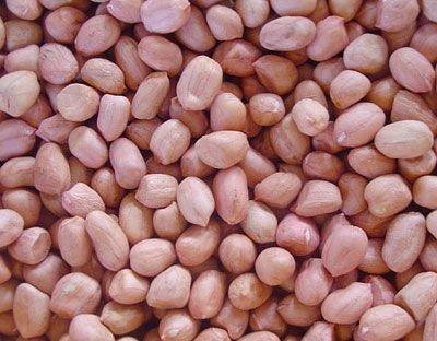秋季白斑患者补充大脑营养有哪些食物特别适合?
