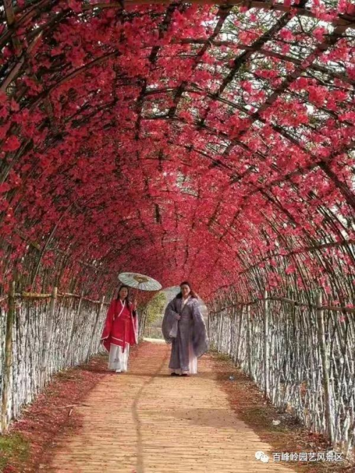 江西省文旅厅长池红视察高安百峰岭景区 推动乡村旅游复工复产