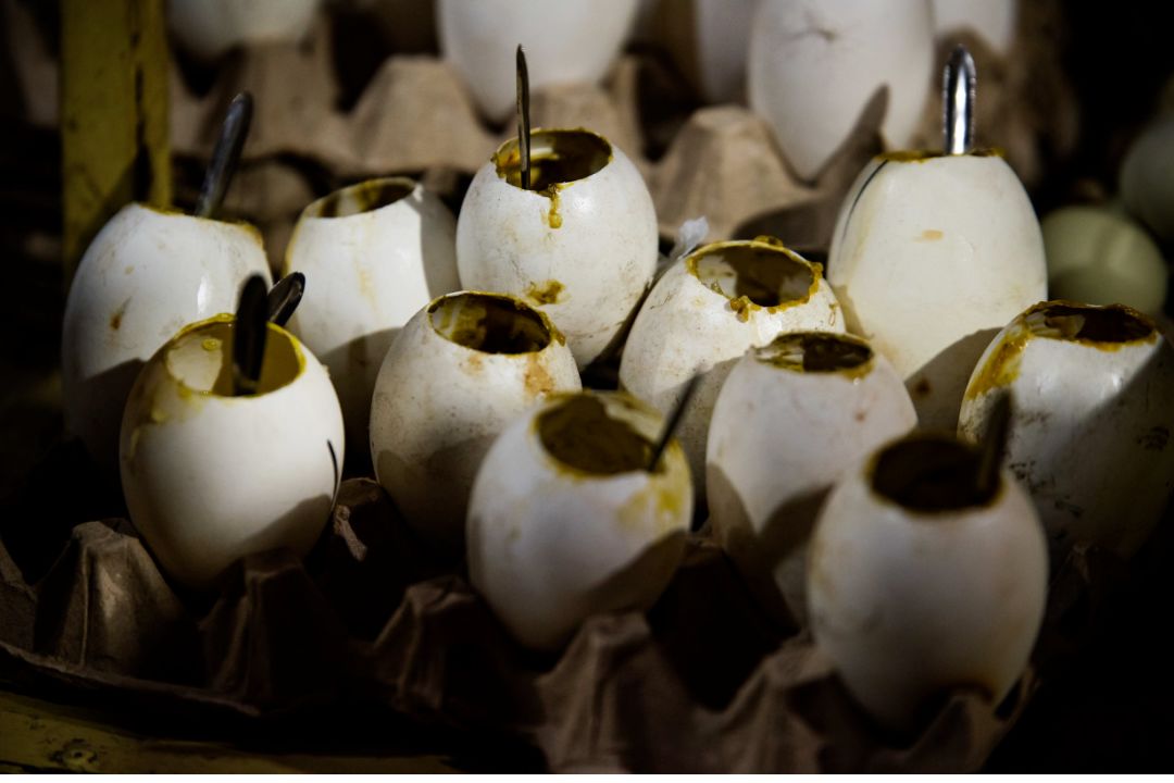 新疆和田，中国一个被低估的烧烤重镇！