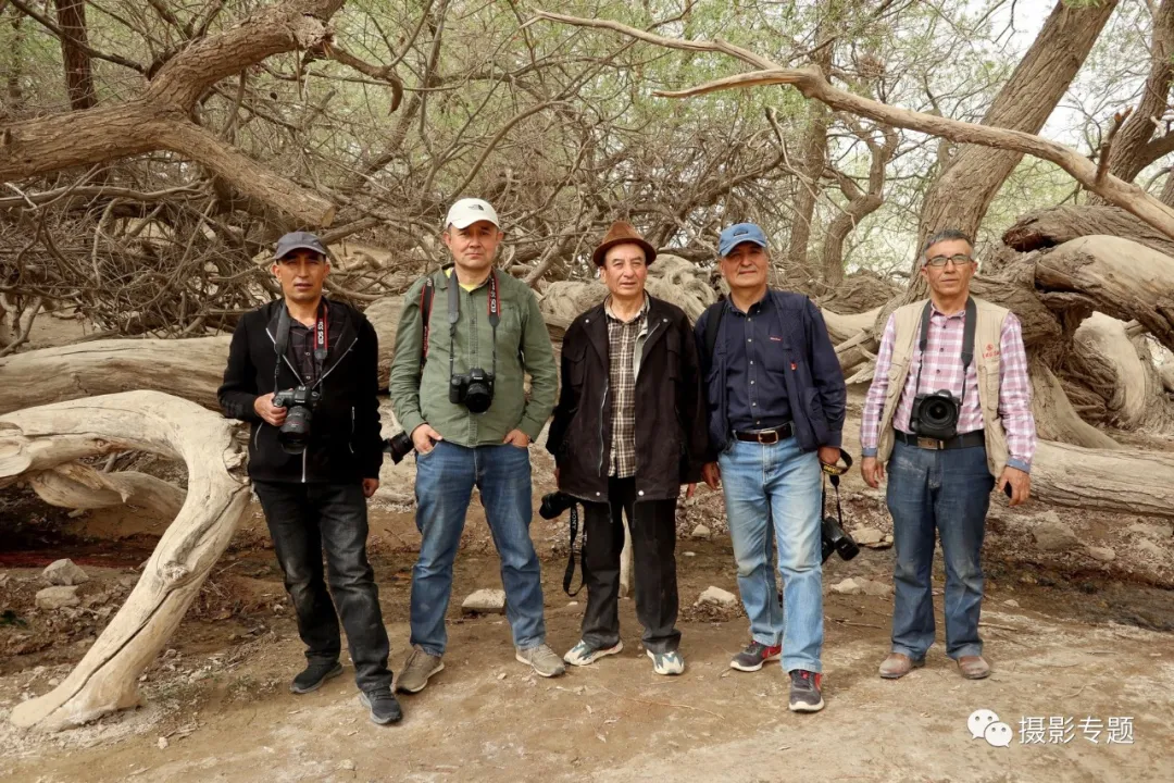 和田奇景——九头柳