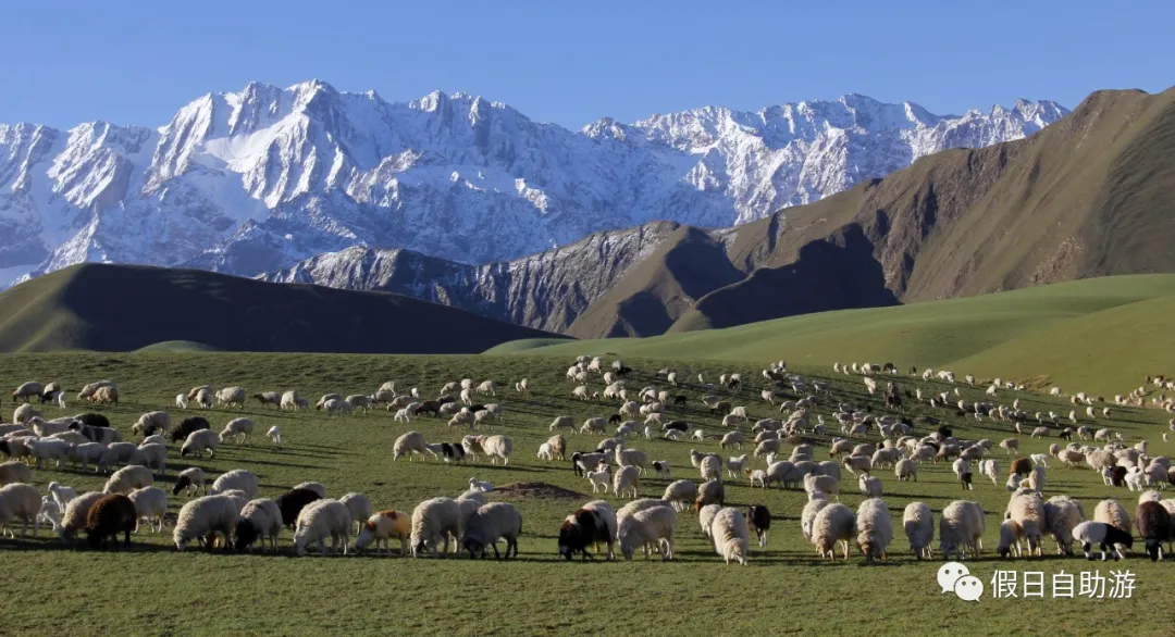 请收好这份来自新疆和田的自驾旅游攻略