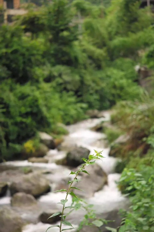 “精品一日游”线路 大美云和欢迎你!