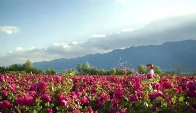 速看!五一期间,和田最火旅游路线出炉!