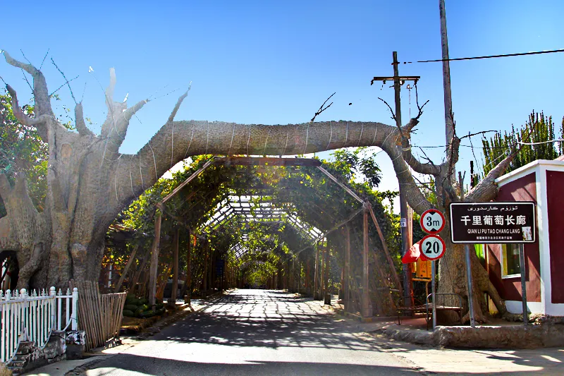 速看!五一期间,和田最火旅游路线出炉!