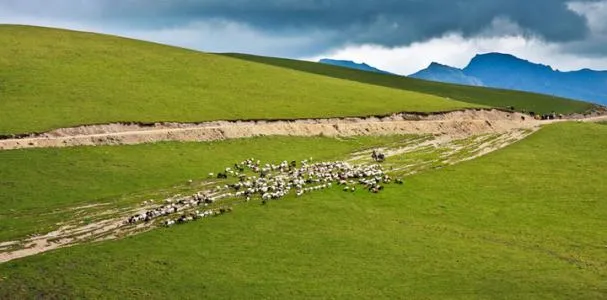速看!五一期间,和田最火旅游路线出炉!