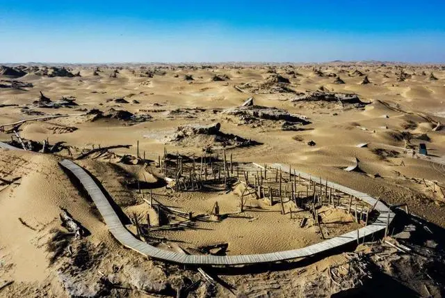 新疆尼雅遗址:千年来,被塔克拉玛干风沙掩埋的“精绝古国”