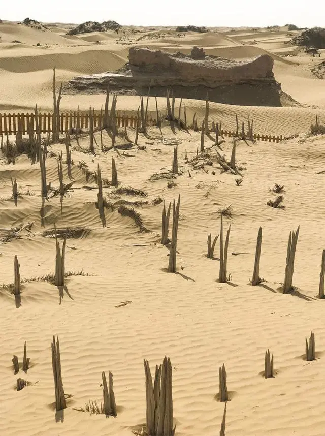 新疆尼雅遗址:千年来,被塔克拉玛干风沙掩埋的“精绝古国”