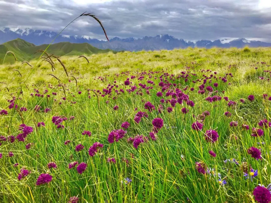 5·19中国旅游日丨和田地区旅游活动精彩回顾