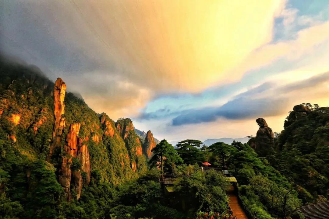 花间直播醉浪漫丨2020三清山“高山杜鹃赏花月”活动火爆开启