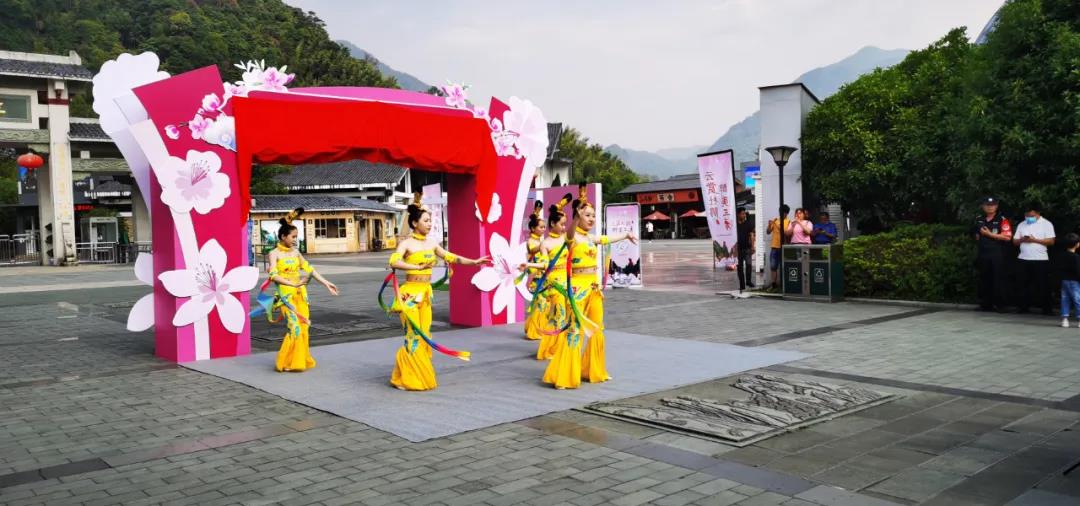 花间直播醉浪漫丨2020三清山“高山杜鹃赏花月”活动火爆开启