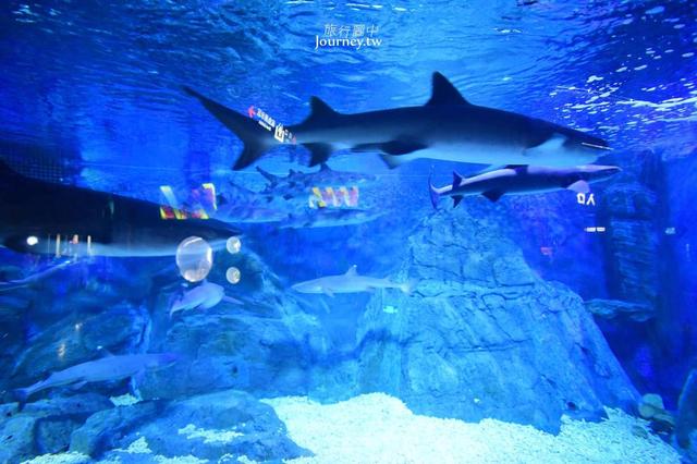 中国山东省、烟台市|烟台・烟雨朦胧中的日常教育