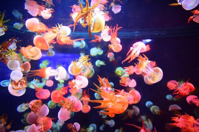 中国山东省、烟台市|烟台・烟雨朦胧中的日常教育