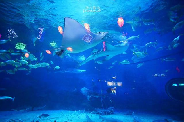 中国山东省、烟台市|烟台・烟雨朦胧中的日常教育