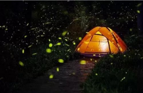 元旦出游必备！拿着这份超详细的自驾峨边线路