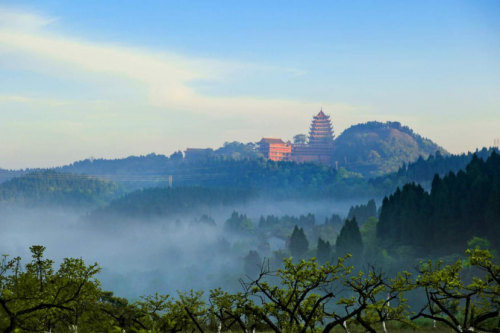 遂宁2020年“宋瓷杯”全市导游(讲解员)大赛即将开赛——在诗和远方中遨游