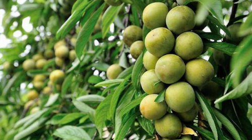 古夜郎漂流6月12日正式开漂！全国援鄂抗疫一线医护人员全年免票！