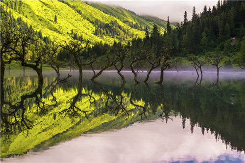 夏日游四姑娘山 避酷暑享清凉