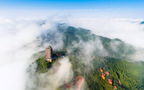 鰼部森林小火车 尽享悠闲时光