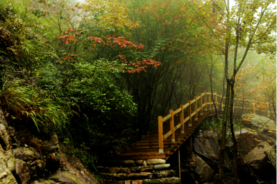 云花溪谷 ——北方驴友徒步的处女地