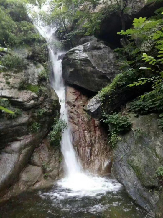 秀水峪森林公园