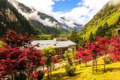 彩林之秋 | 毕棚沟以色彩之名,邀您共赴秋日派对!