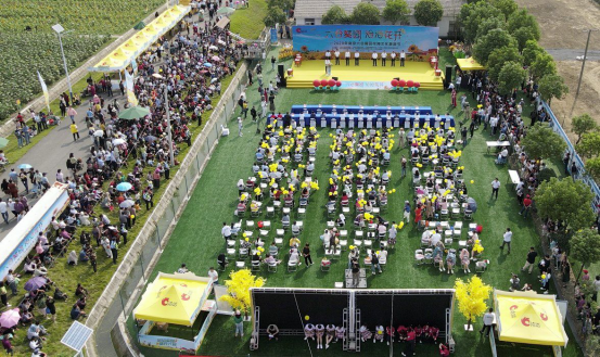 万亩葵花齐绽放,洽洽葵园再启航