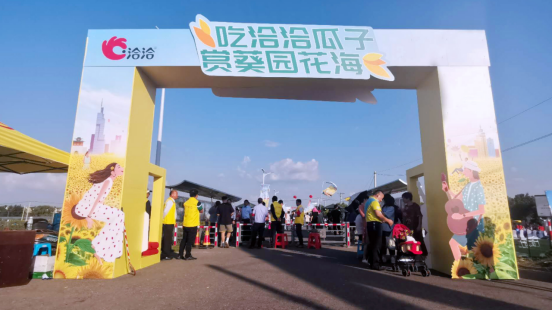 万亩葵花齐绽放,洽洽葵园再启航