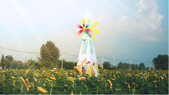 万亩葵花齐绽放,洽洽葵园再启航