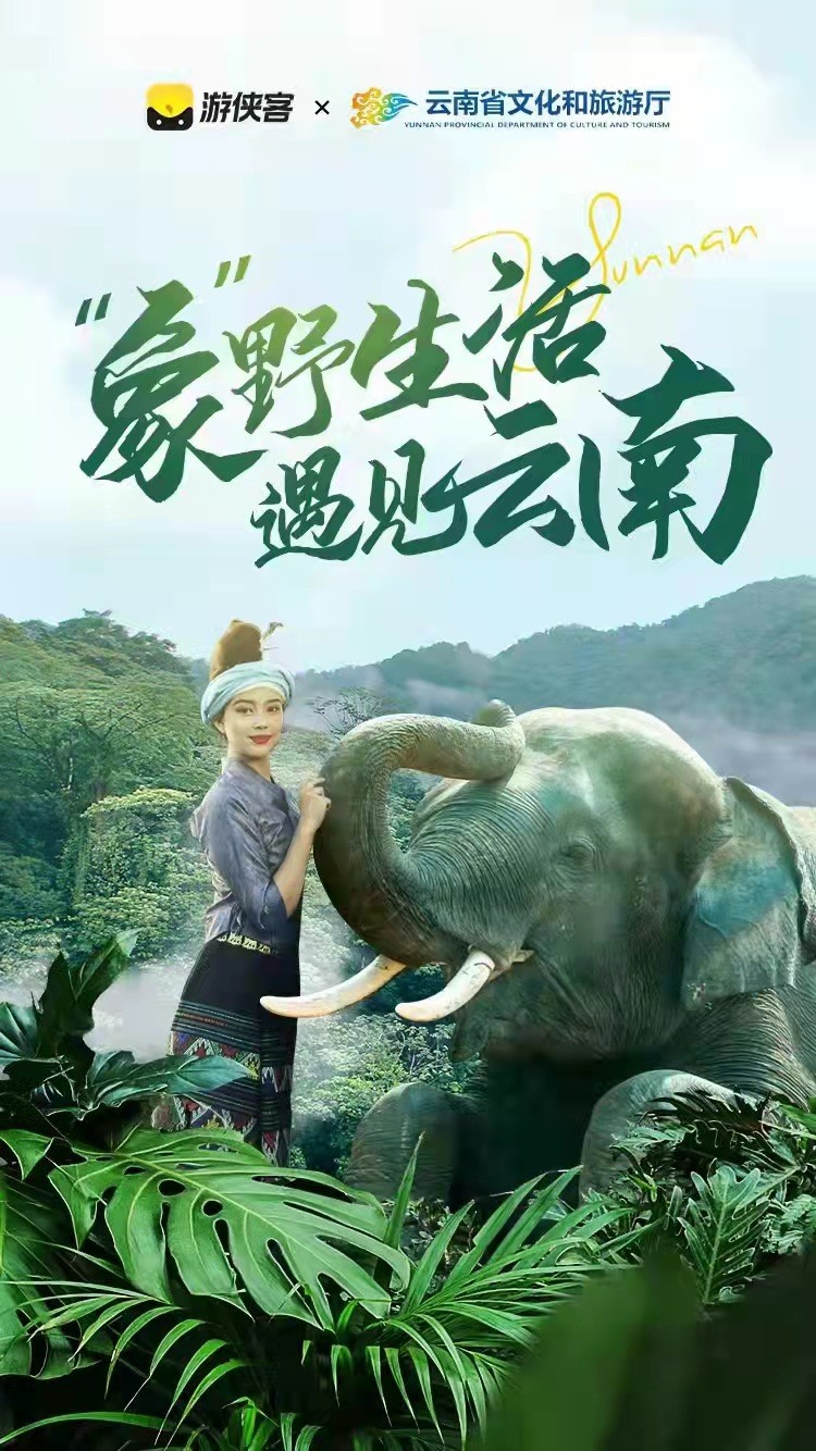 云南恢复出行啦!“