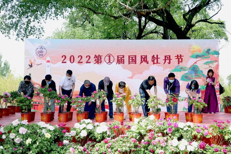 大兴安定御林古桑园第一届国风牡丹节盛大开幕!超多精彩抢先看