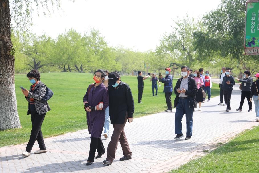 大兴安定御林古桑园第一届国风牡丹节盛大开幕!超多精彩抢先看