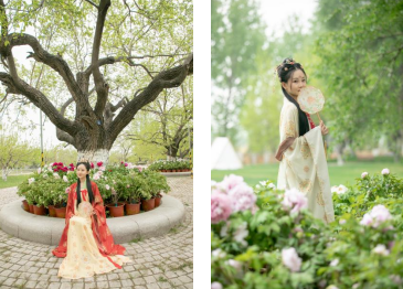 大兴安定御林古桑园第一届国风牡丹节盛大开幕!超多精彩抢先看