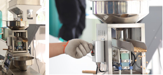 大兴安定御林古桑园第一届国风牡丹节盛大开幕!超多精彩抢先看