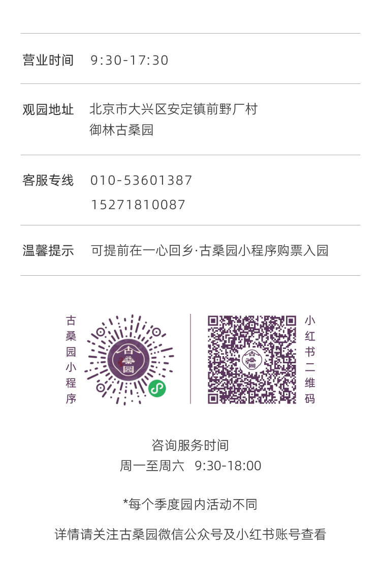 大兴安定御林古桑园第一届国风牡丹节盛大开幕!超多精彩抢先看