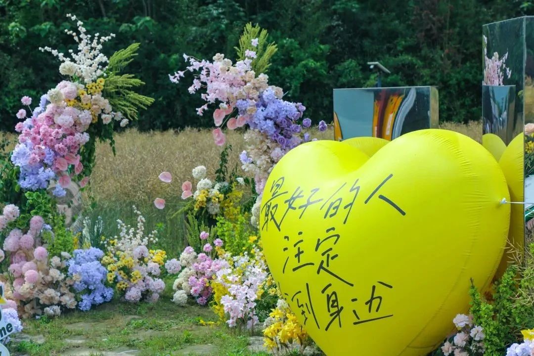 “青春万帐”扎营上虞,释放文旅新动能,催生消费新业态