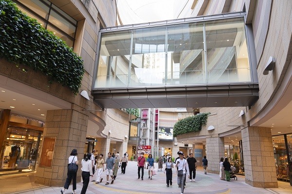 「THE SUMO HALL日乐座OSAKA」相扑表演全新登场!春节限定中文解说公演