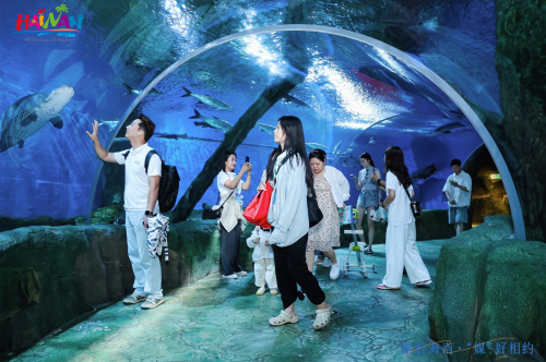 “酷游海南 •‘媒’好相约” 2025百家媒体海南（陵水）旅游推介活动启幕