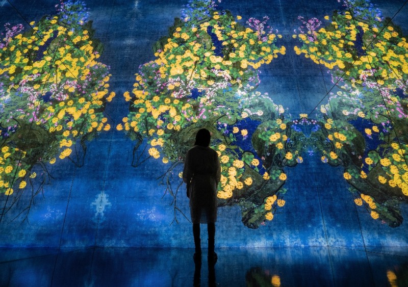 “澳门teamLab超自然空间”推出双重优惠贺开业五周年    居民及游客尊享7月限时优惠