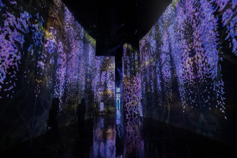 “澳门teamLab超自然空间”推出双重优惠贺开业五周年    居民及游客尊享7月限时优惠