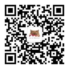 拉斯海马旅游业持续蓬勃发展，2025年上半年亮眼表现创下历史新高