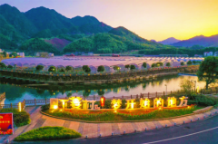 跟着赛事去旅行|穿越山海漫游千岛2025年山海杯棋王争霸赛总决赛落子千岛湖