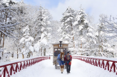凛冬之礼:当露天温泉遇上豪雪地带